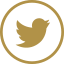 Follow us on Twitter